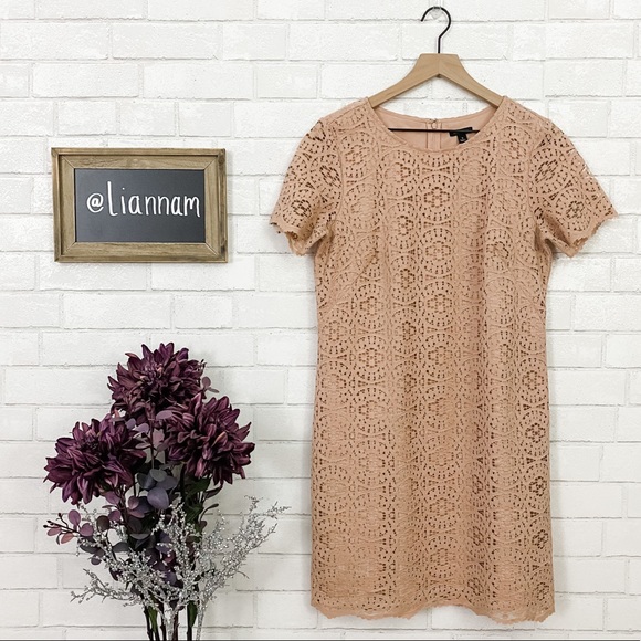 Ann Taylor Dresses & Skirts - Ann Taylor Tan Mosaic Lace Shift Dress